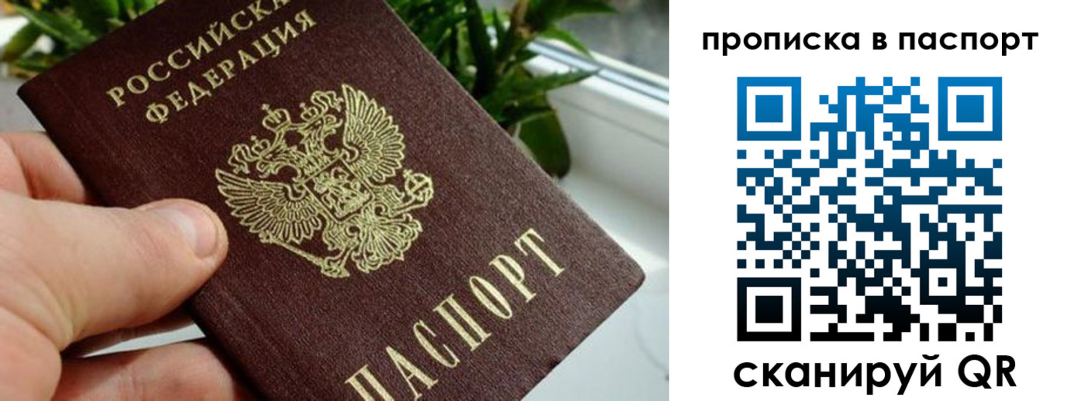 пропишу в квартире в ЕАО